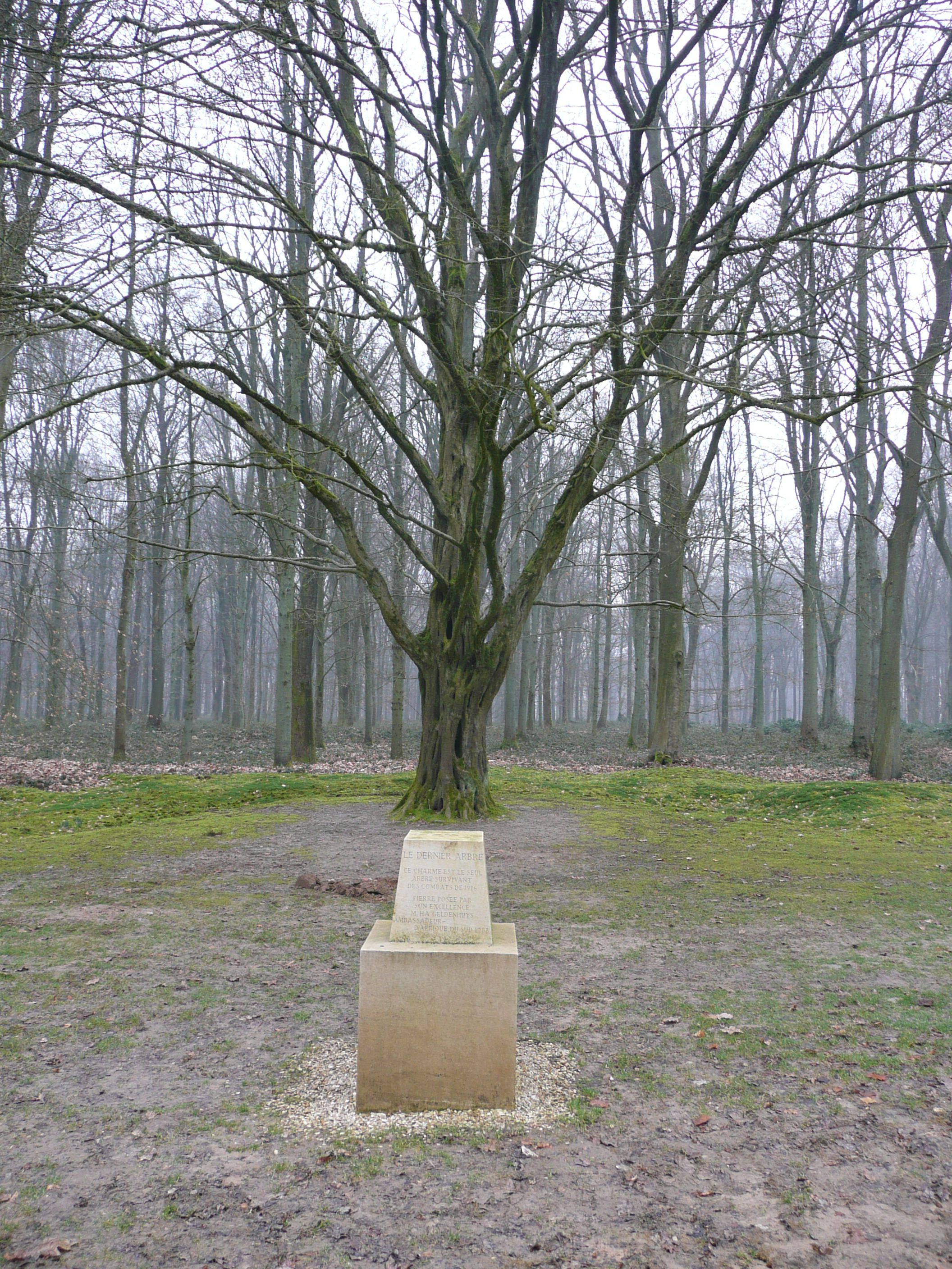 De enige overlevende van de strijd in Devil's Wood